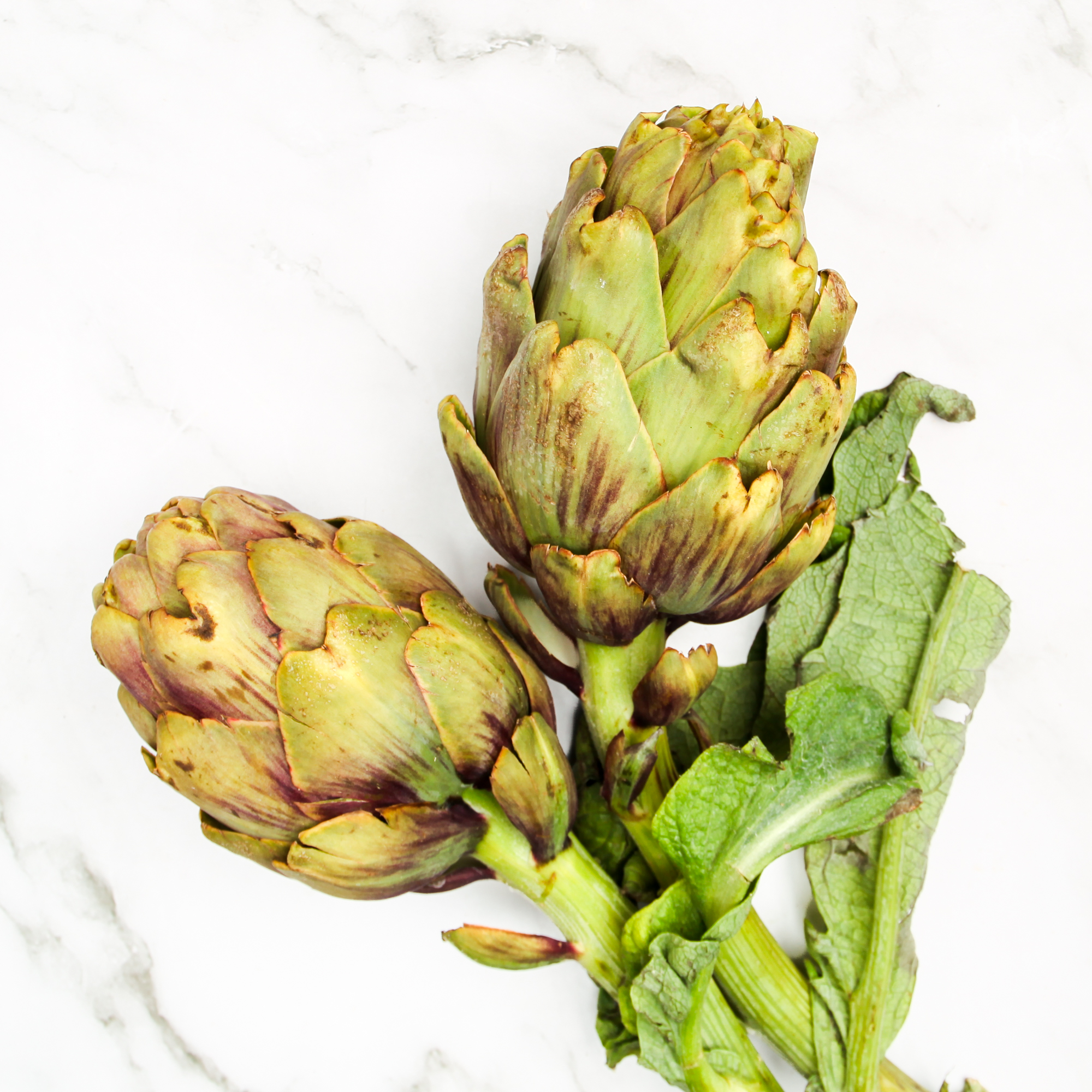 Violet de Provence Artichokes