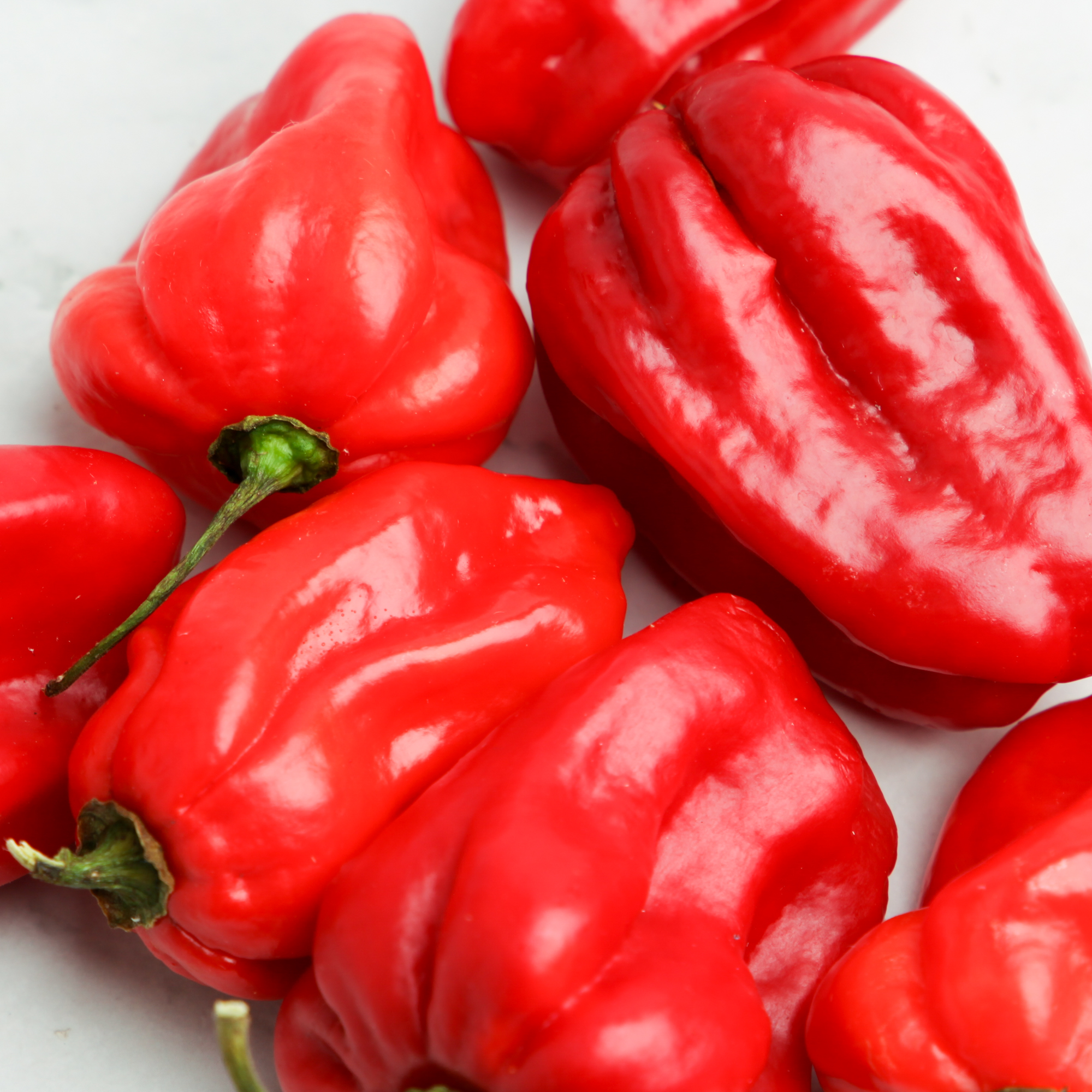 France Chili-Habanero