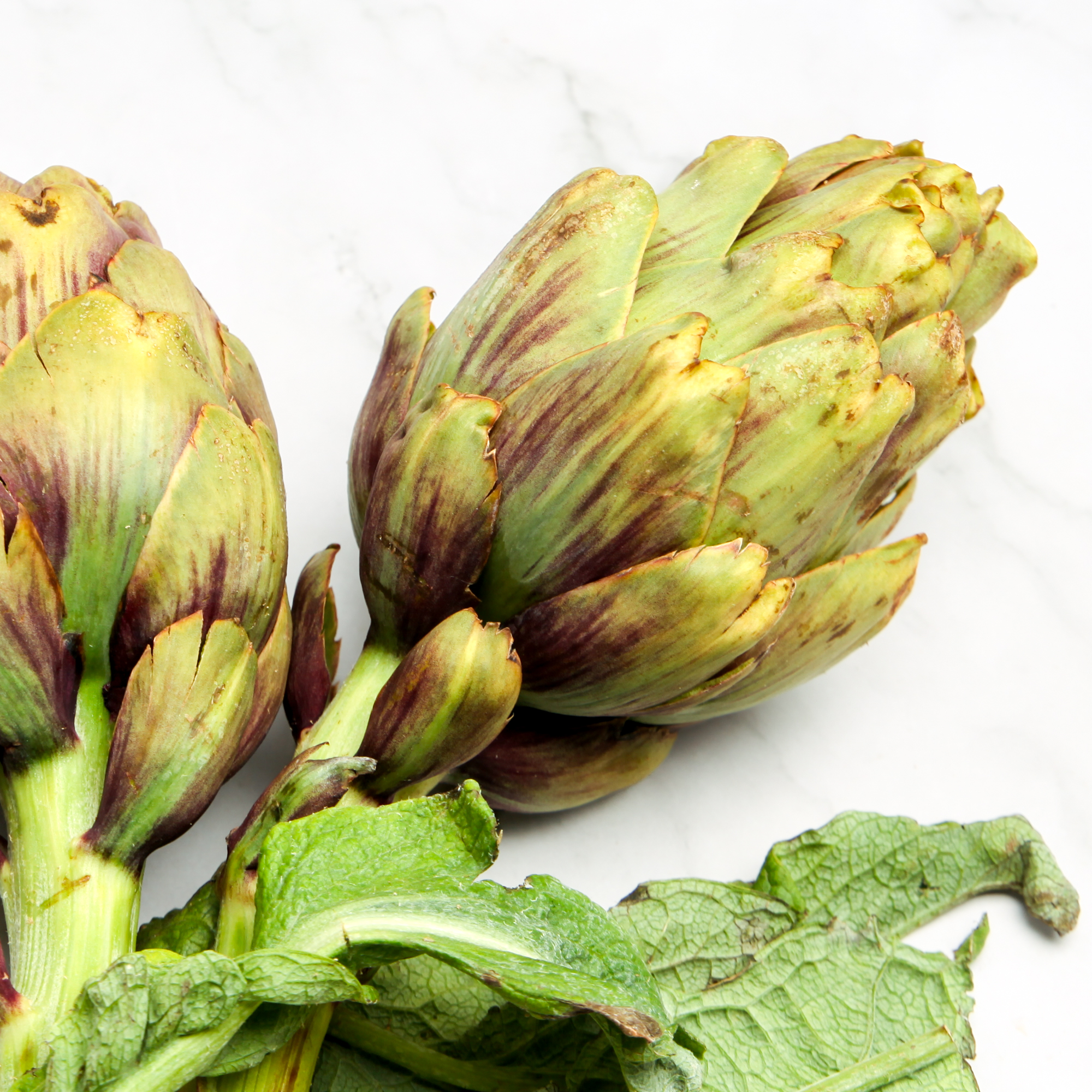 Violet de Provence Artichokes