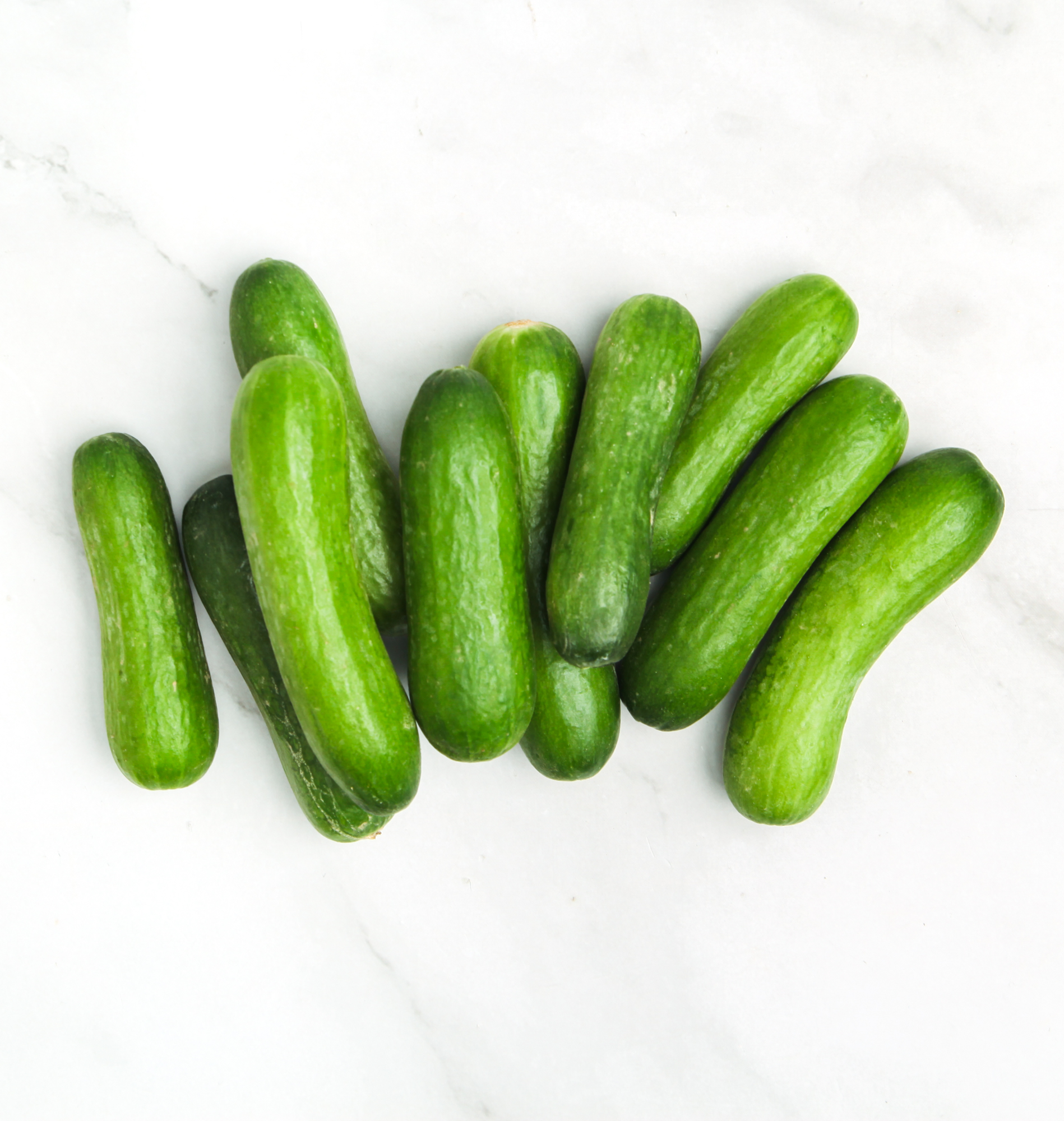 Holland Cucumber