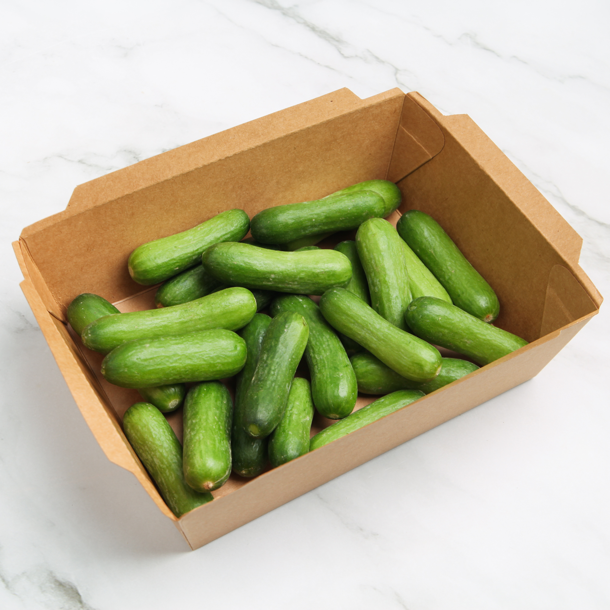 Holland Cucumber