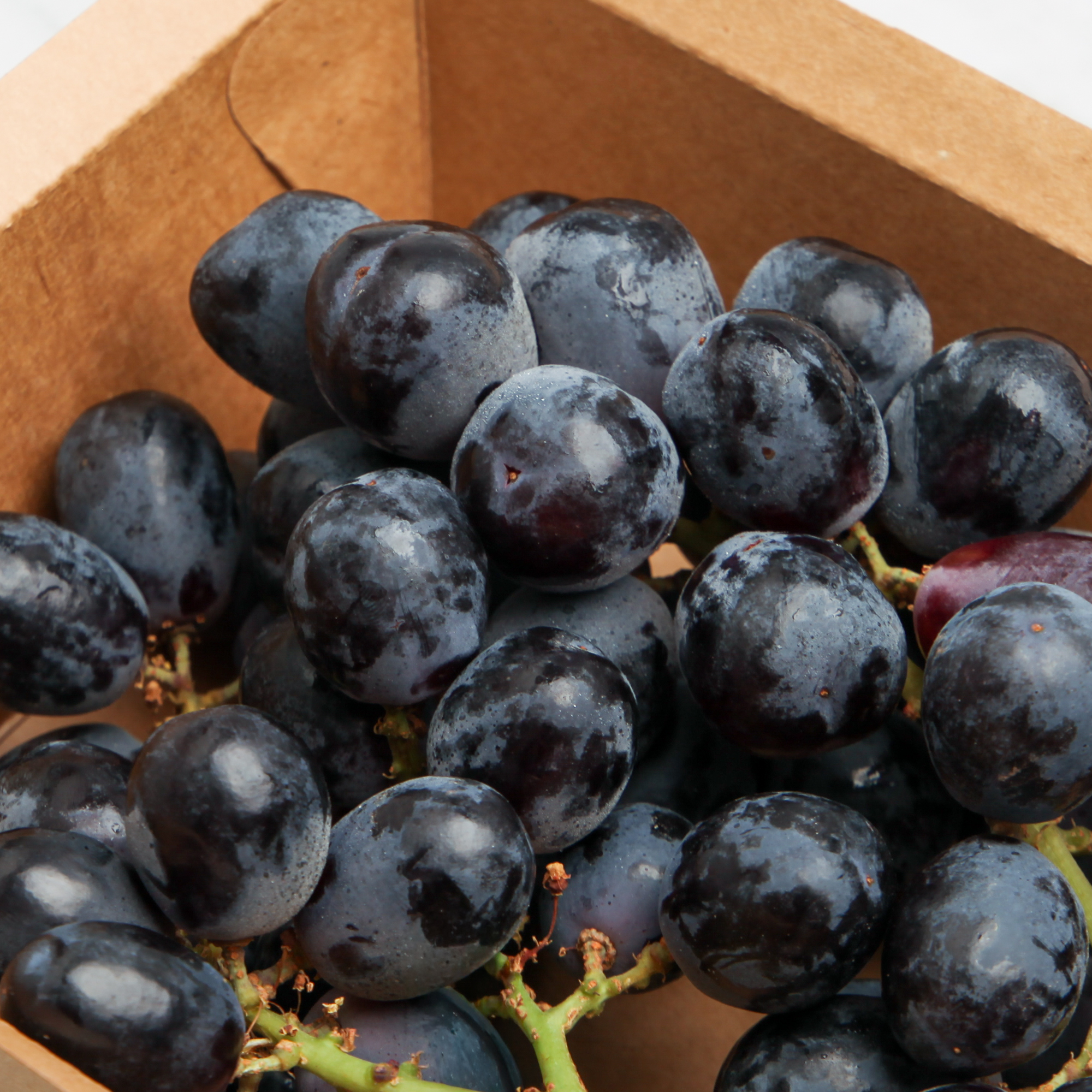 Black Grapes Midnight Beauty