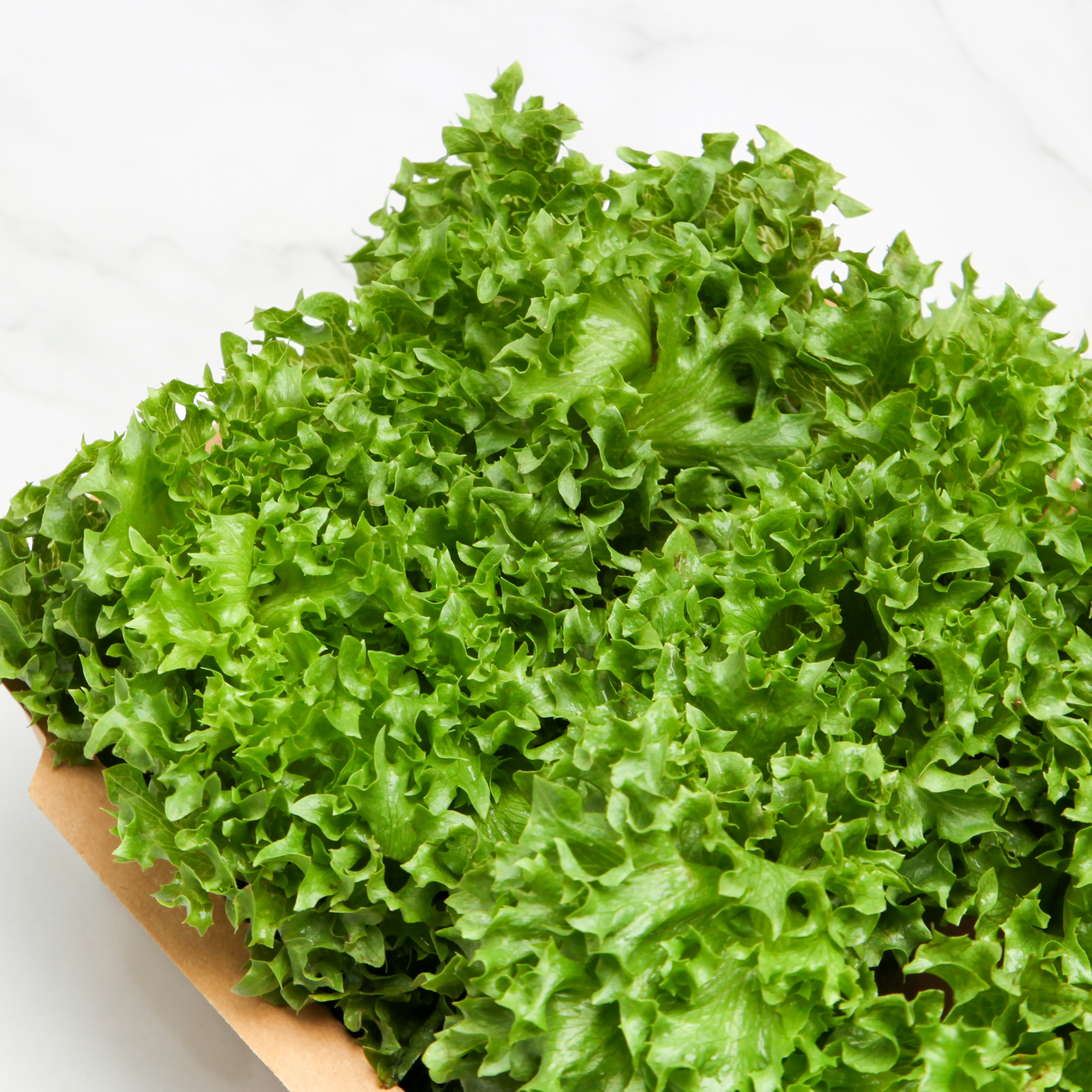 Organic Frillice Iceberg