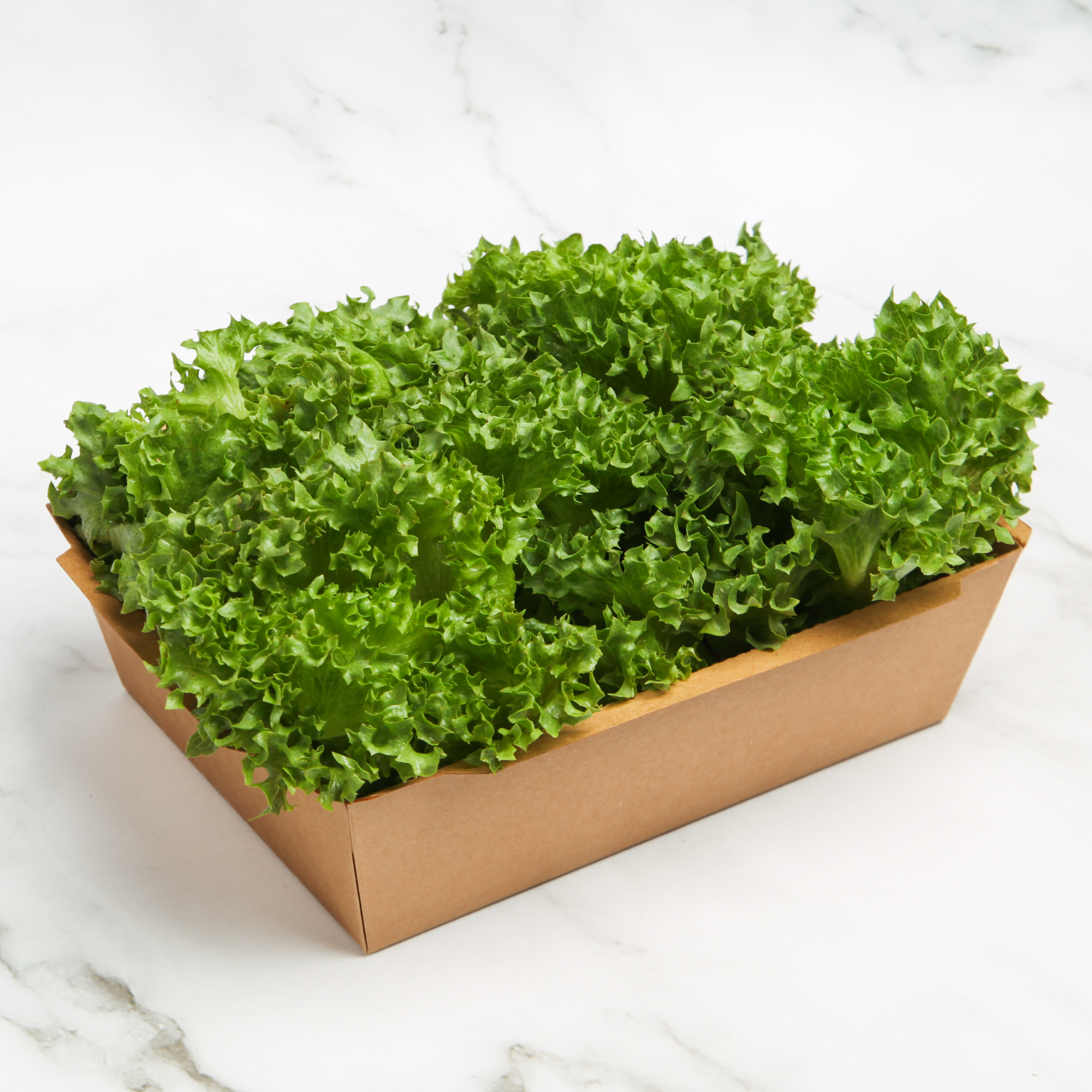 Organic Frillice Iceberg