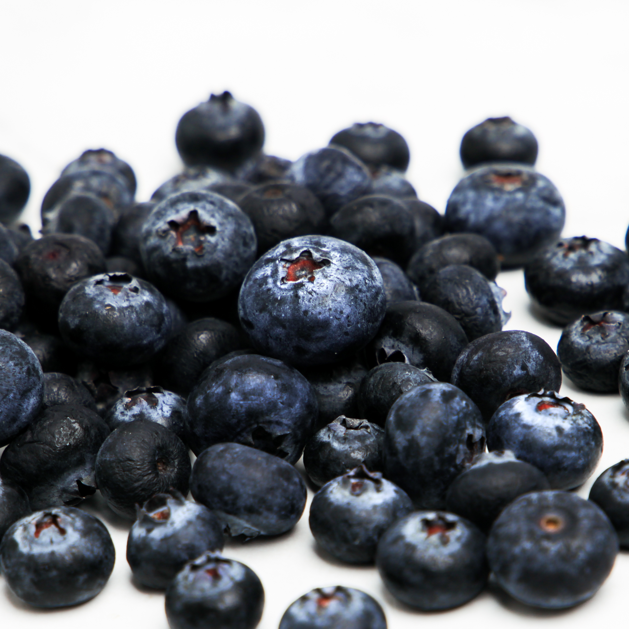 Fresh Blueberries