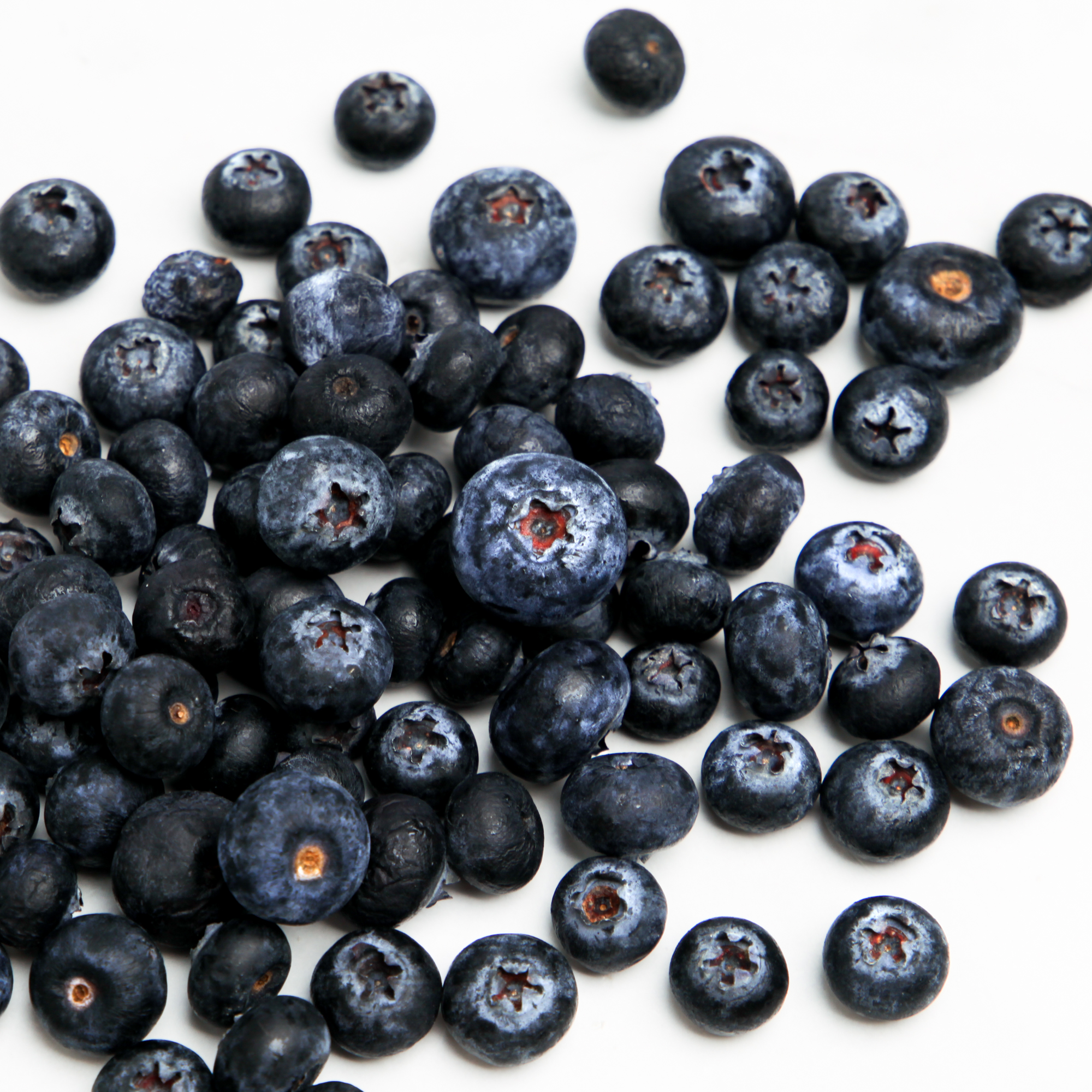 Fresh Blueberries