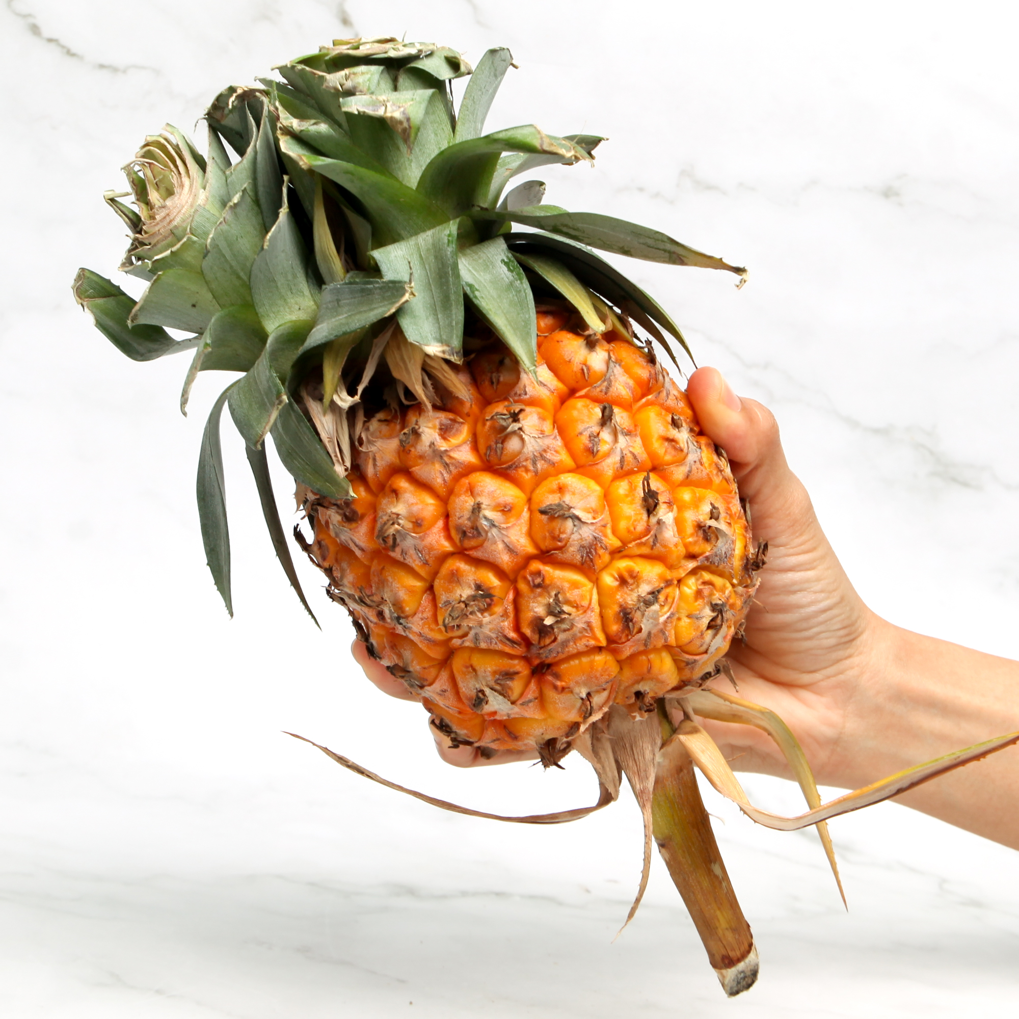 Organic (Mini) Pattavia Pineapple