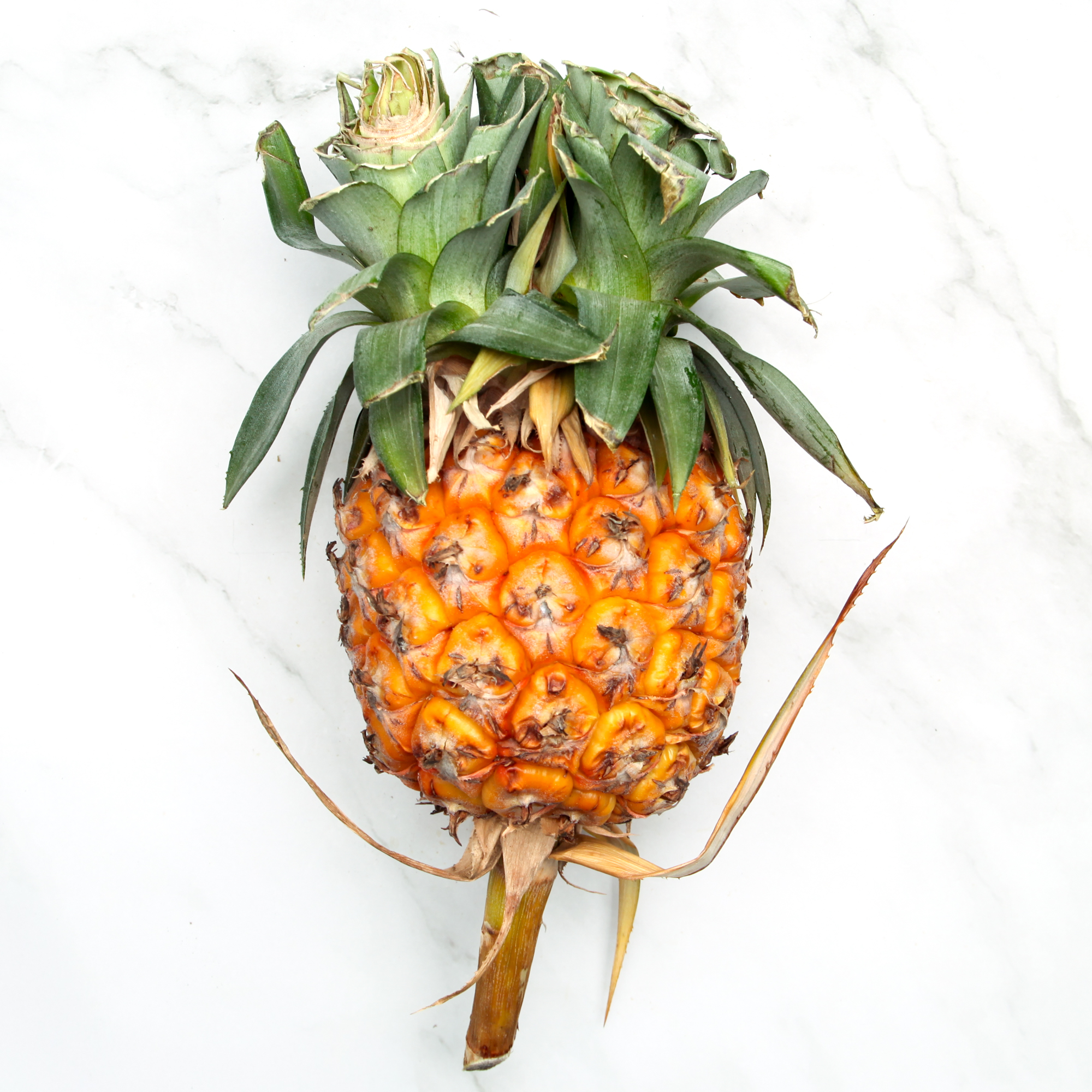 Organic (Mini) Pattavia Pineapple