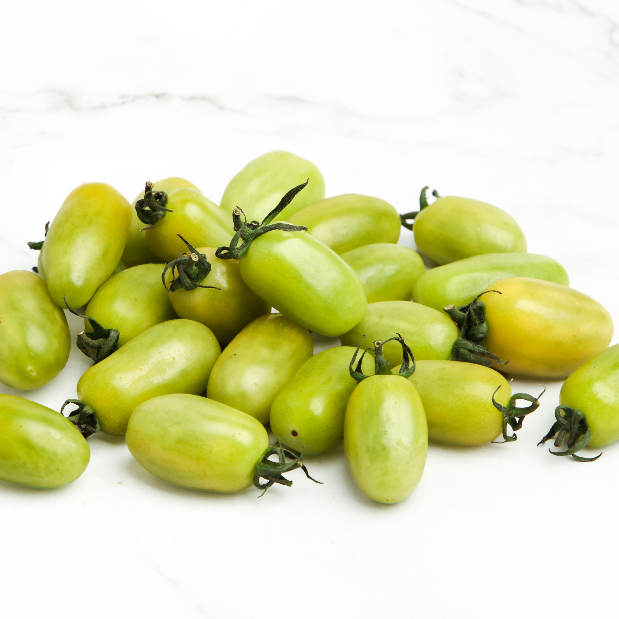Gourami Tomatoes