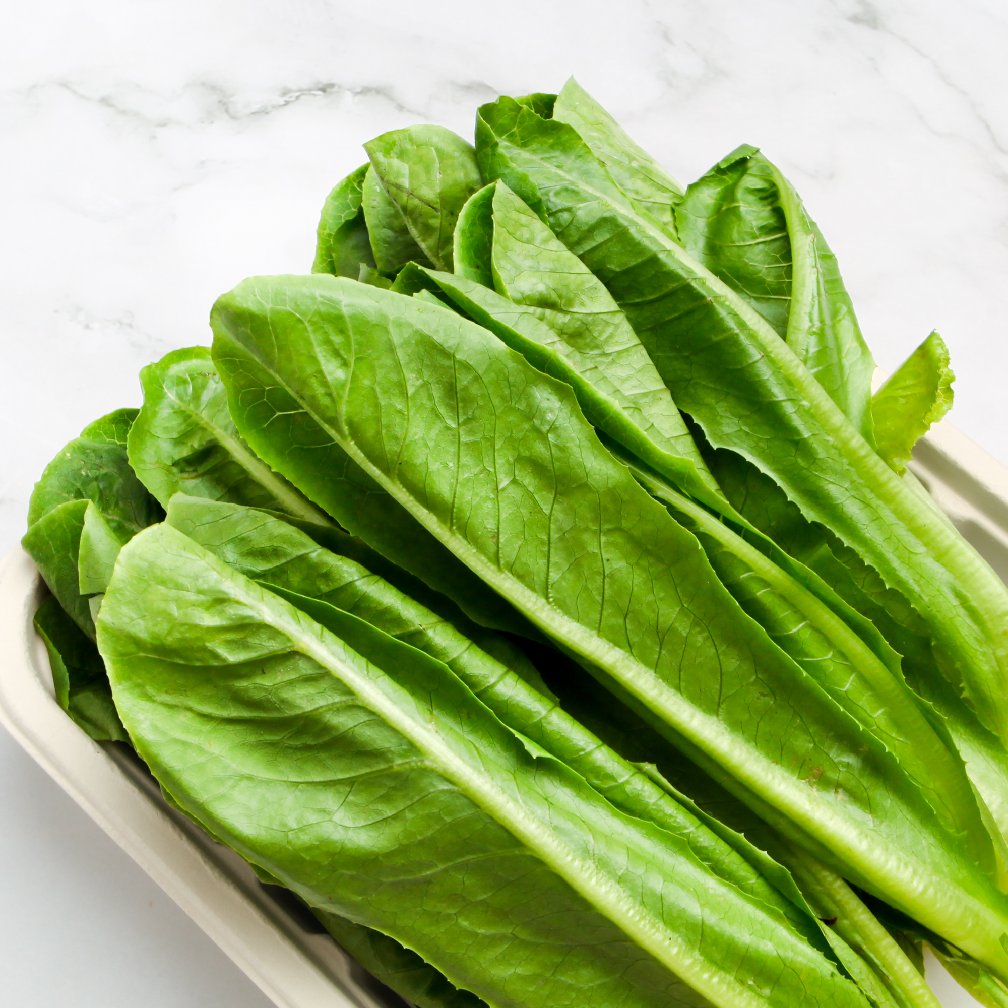 Organic Green Cos Lettuce