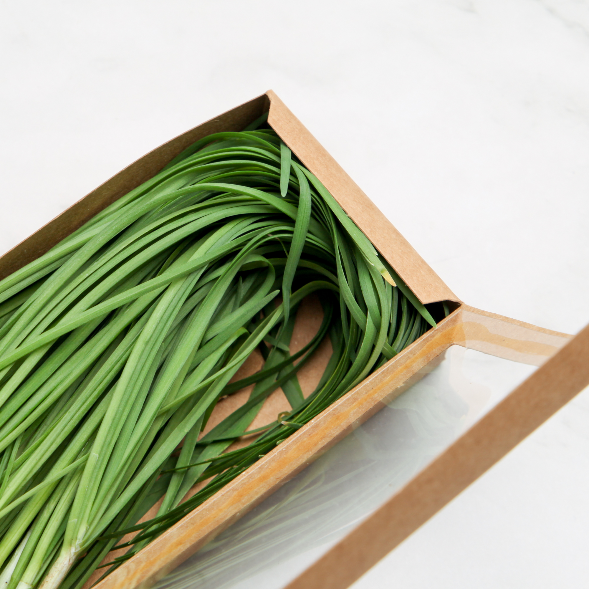 Organic Garlic Chives