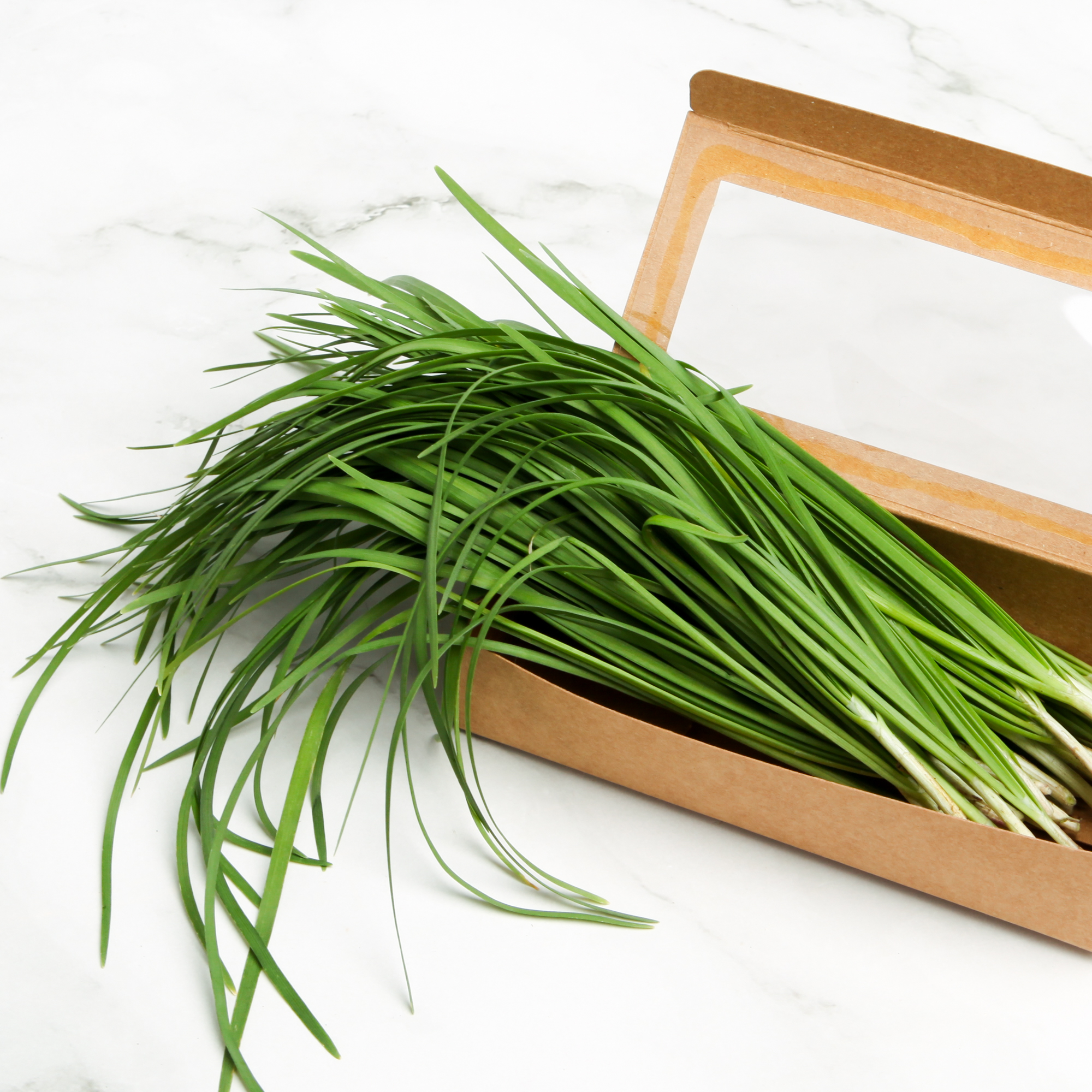 Organic Garlic Chives