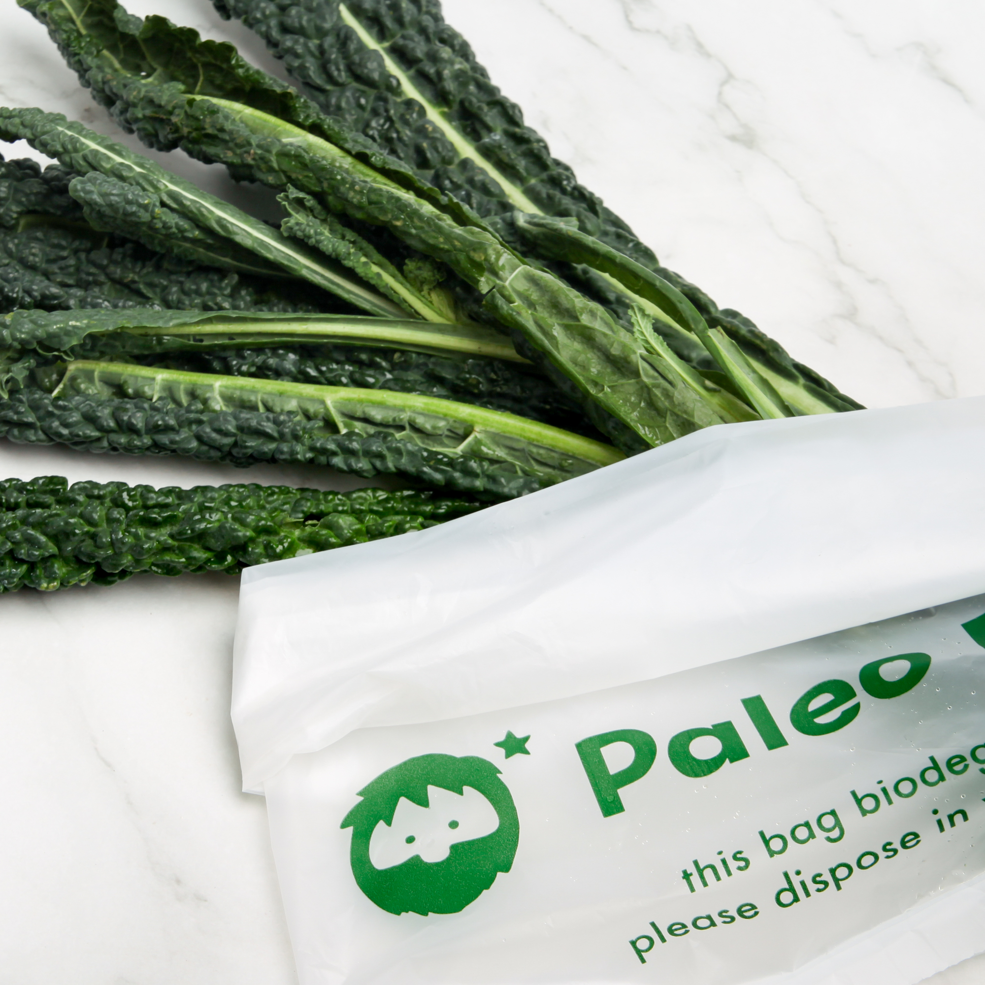 Fresh Australian Tuscan Kale