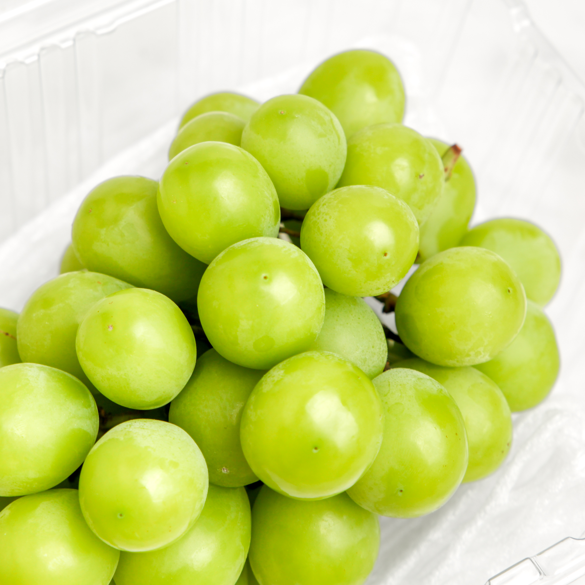 Grape Shine Muscat 