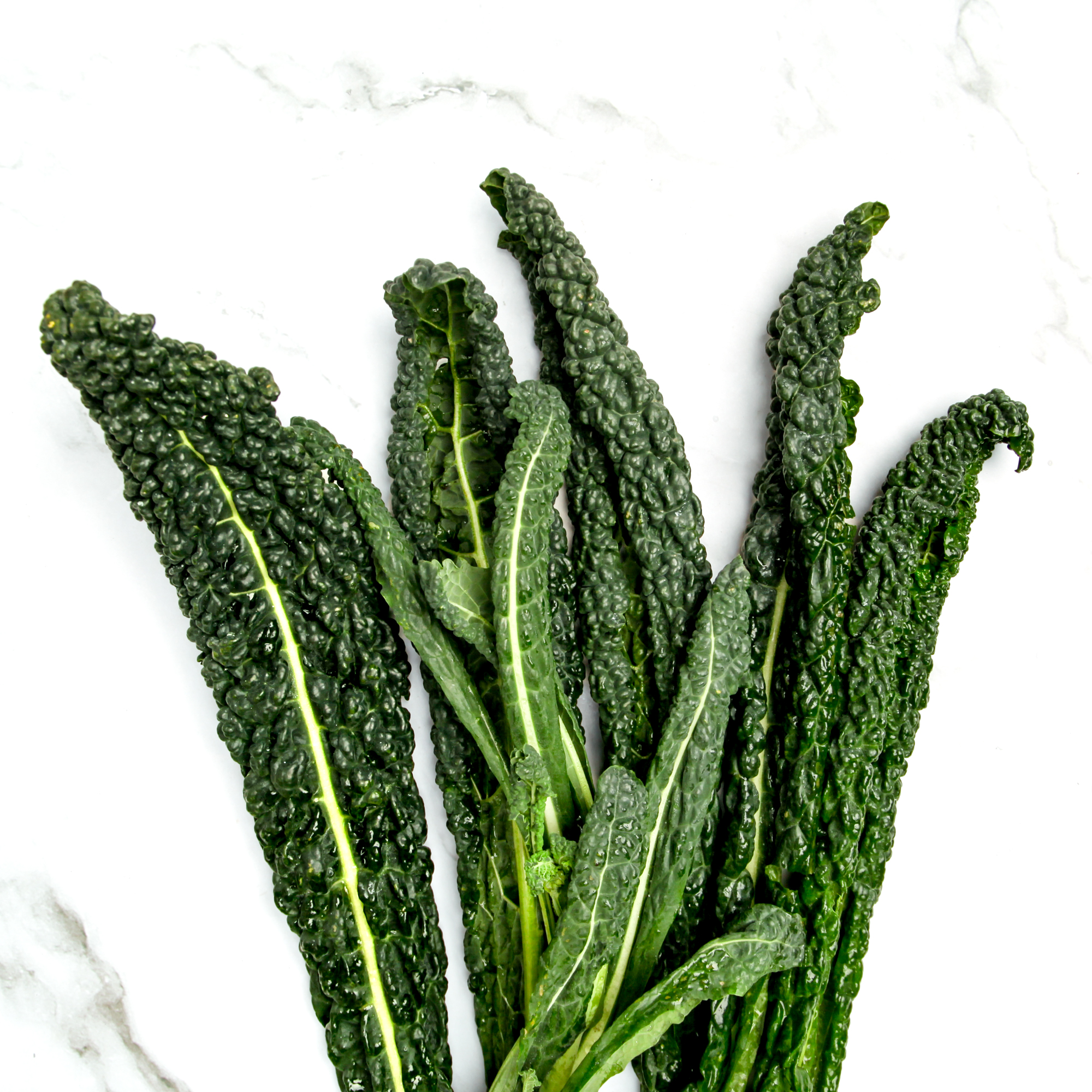 Fresh Australian Tuscan Kale
