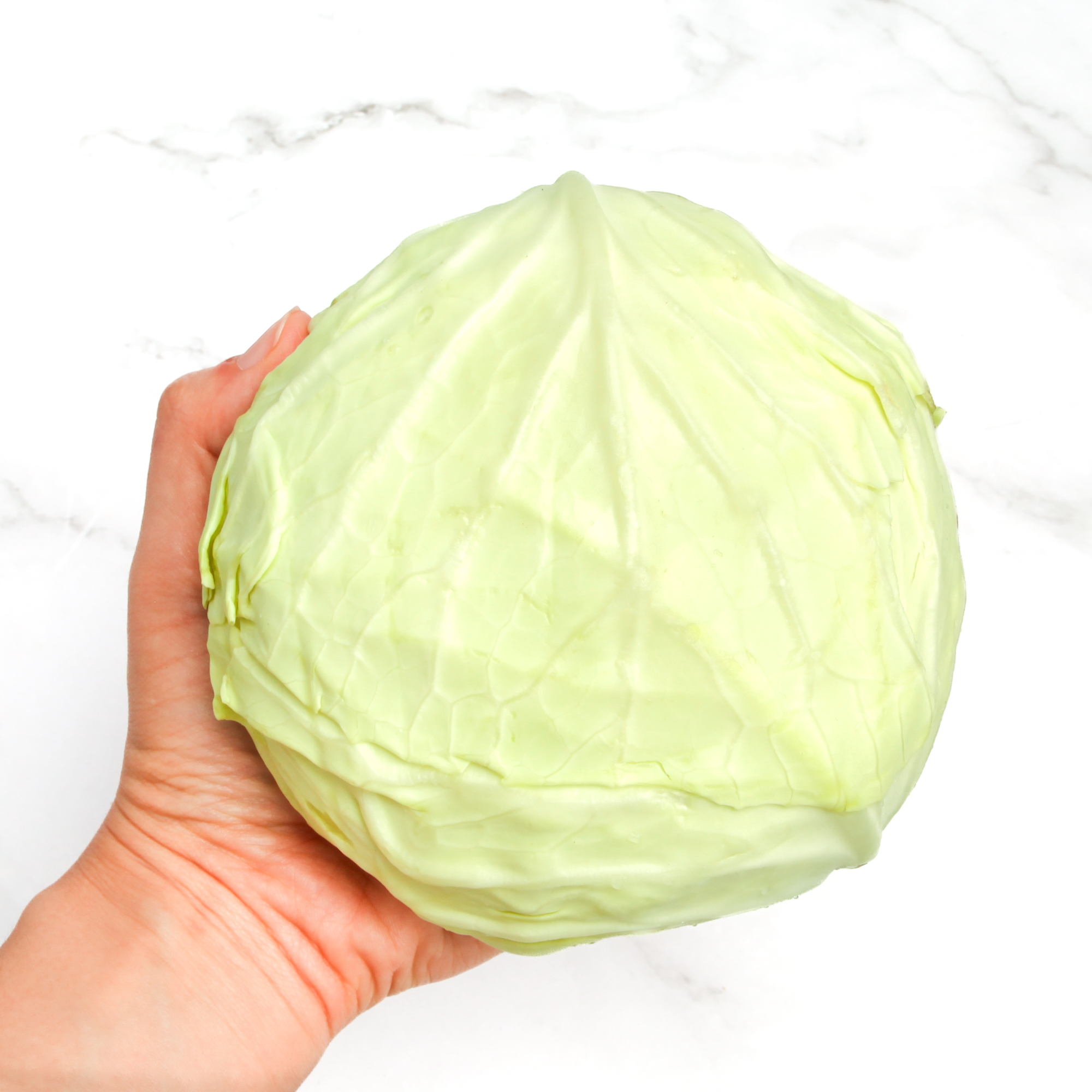 Organic Green Cabbage
