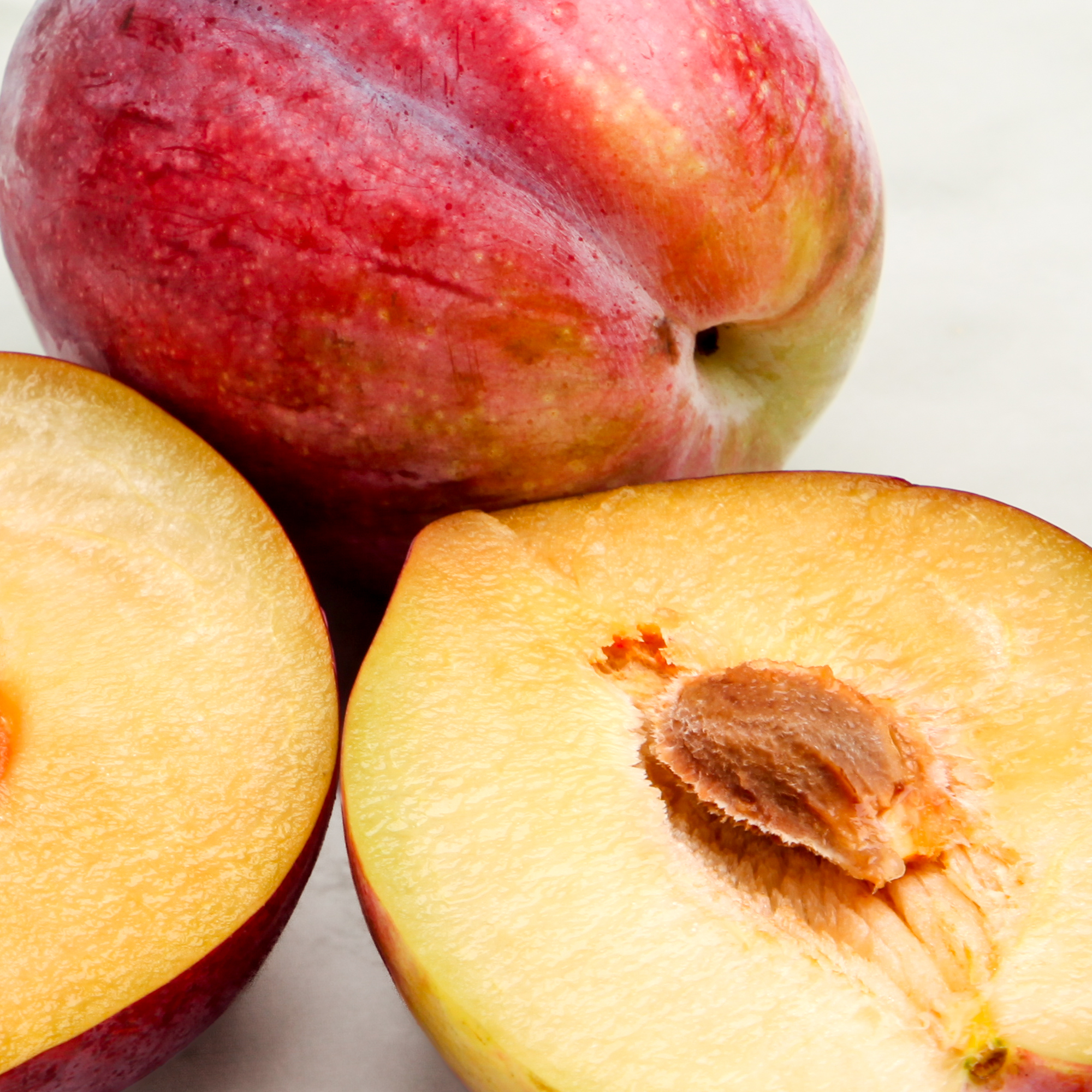 Plumcot Flavor Fall