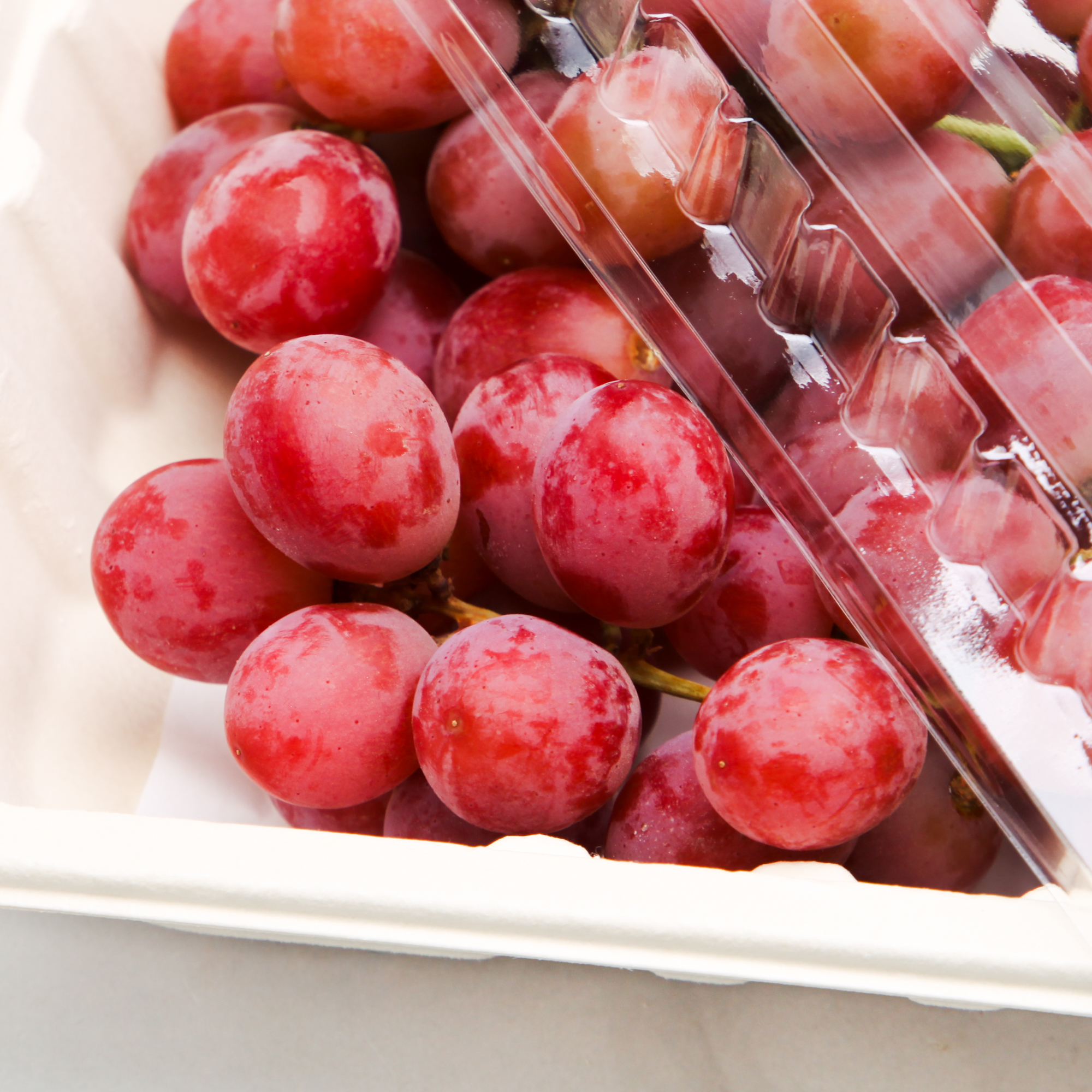 Red Grapes Timco