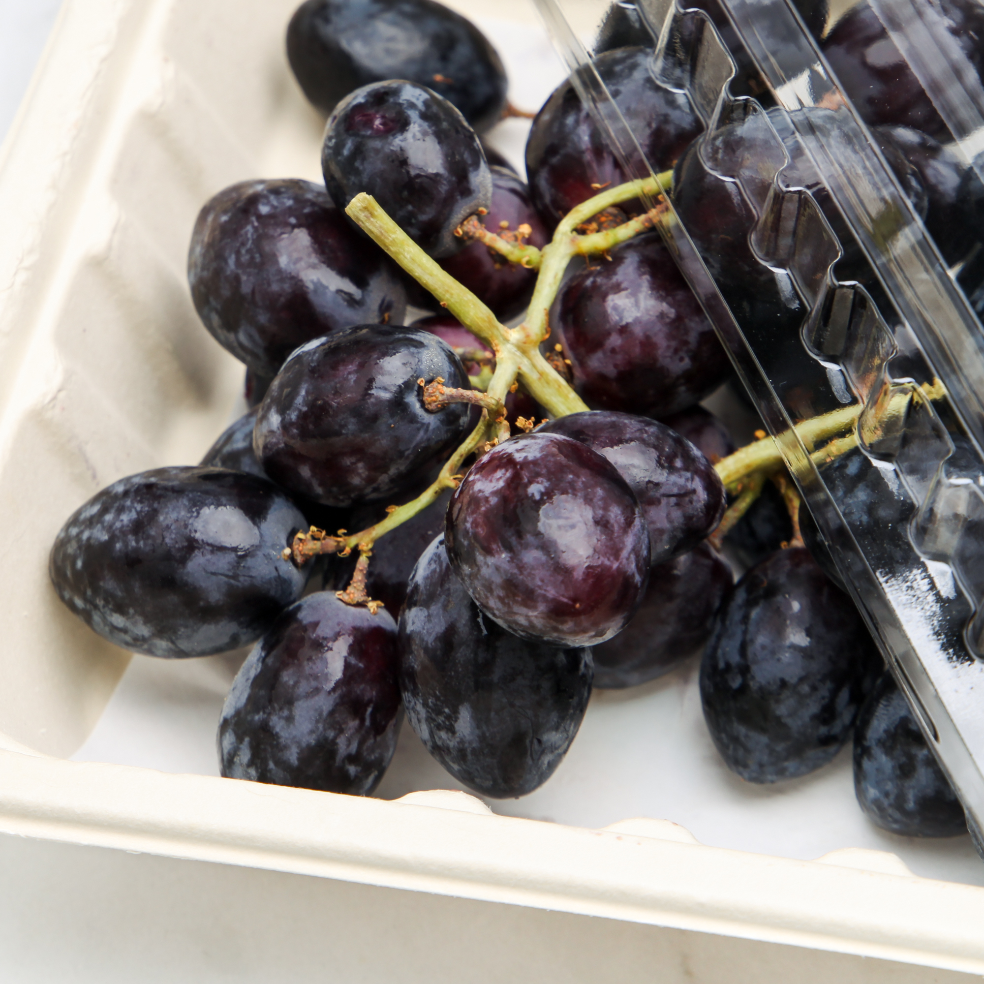 Black Grapes Autumn Royal