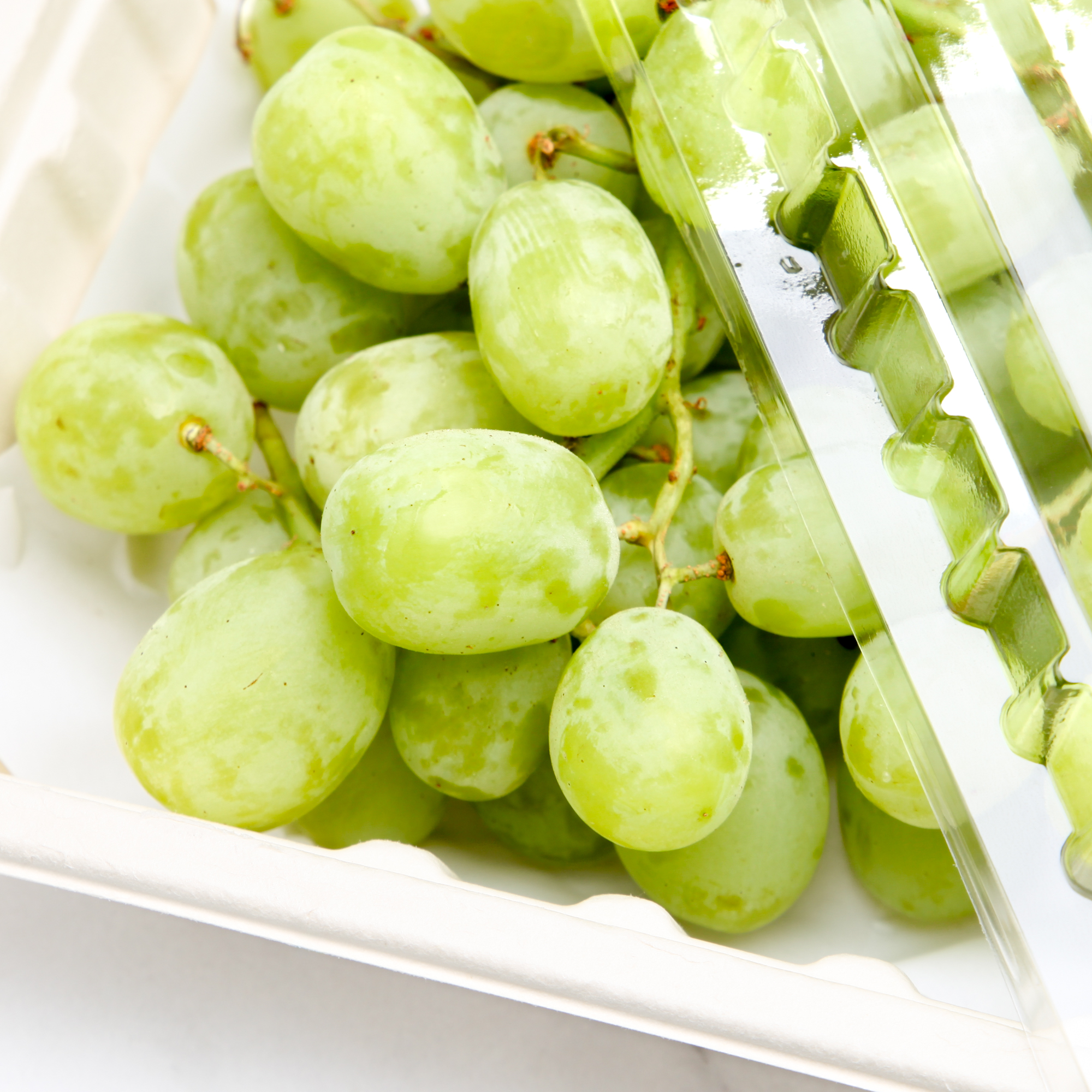 Green Grapes Autumn King