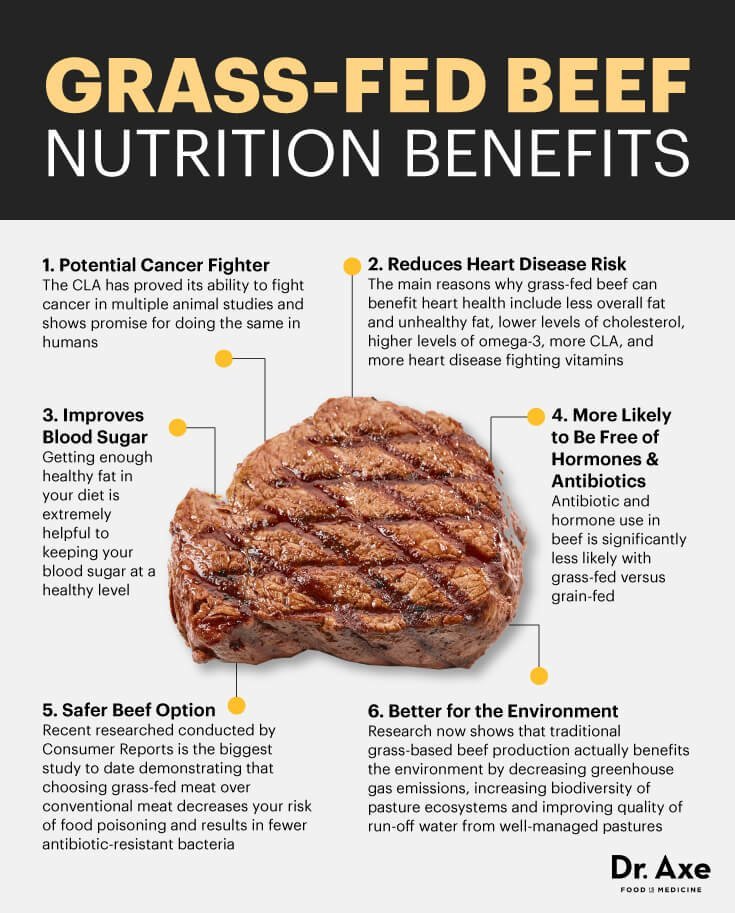 Grass Fed vs. Organic Beef: What's the Difference?