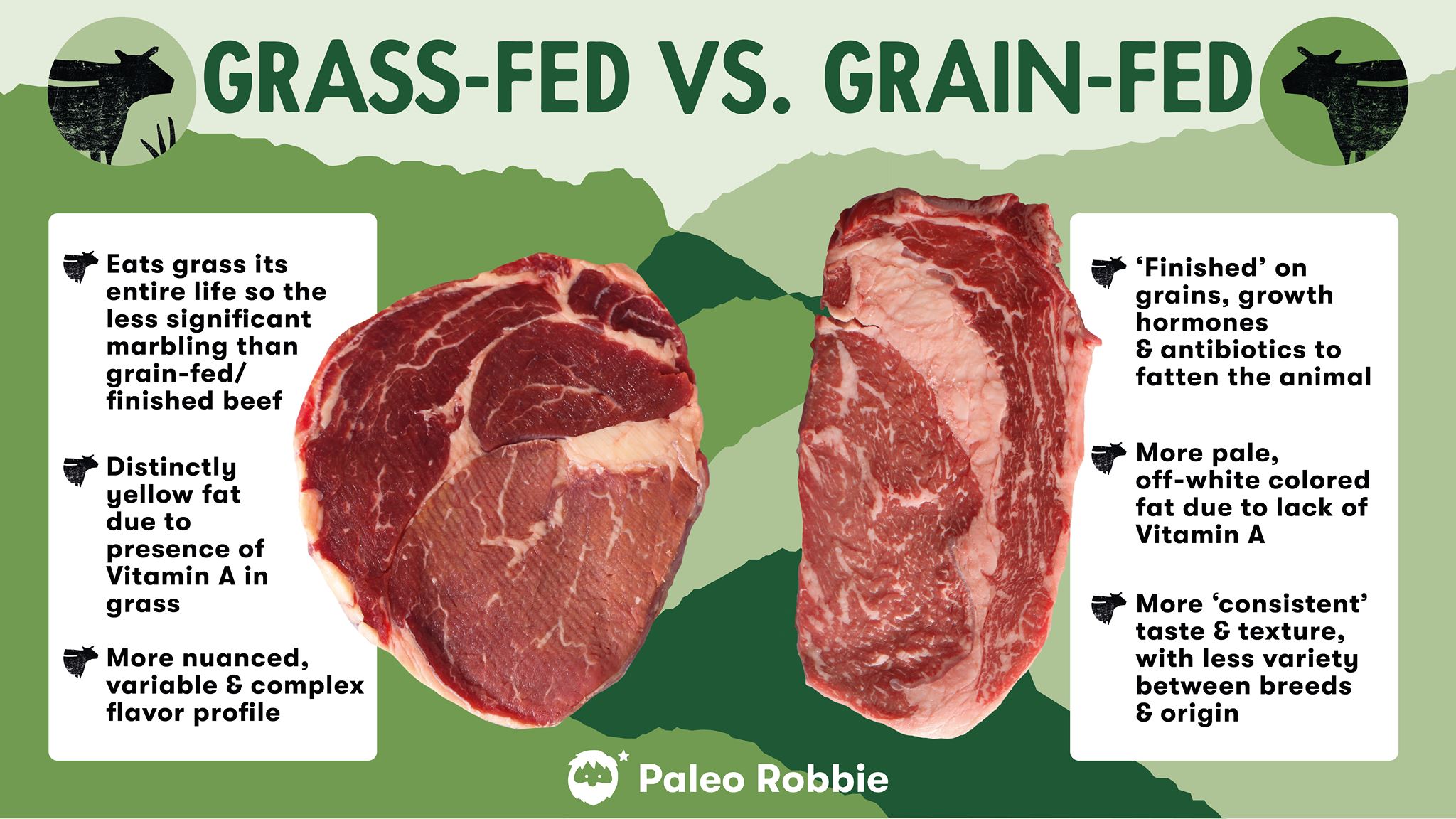 Grass Fed vs. Organic Beef: What's the Difference?