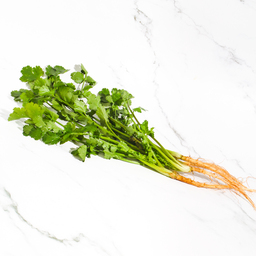 Organic Coriander