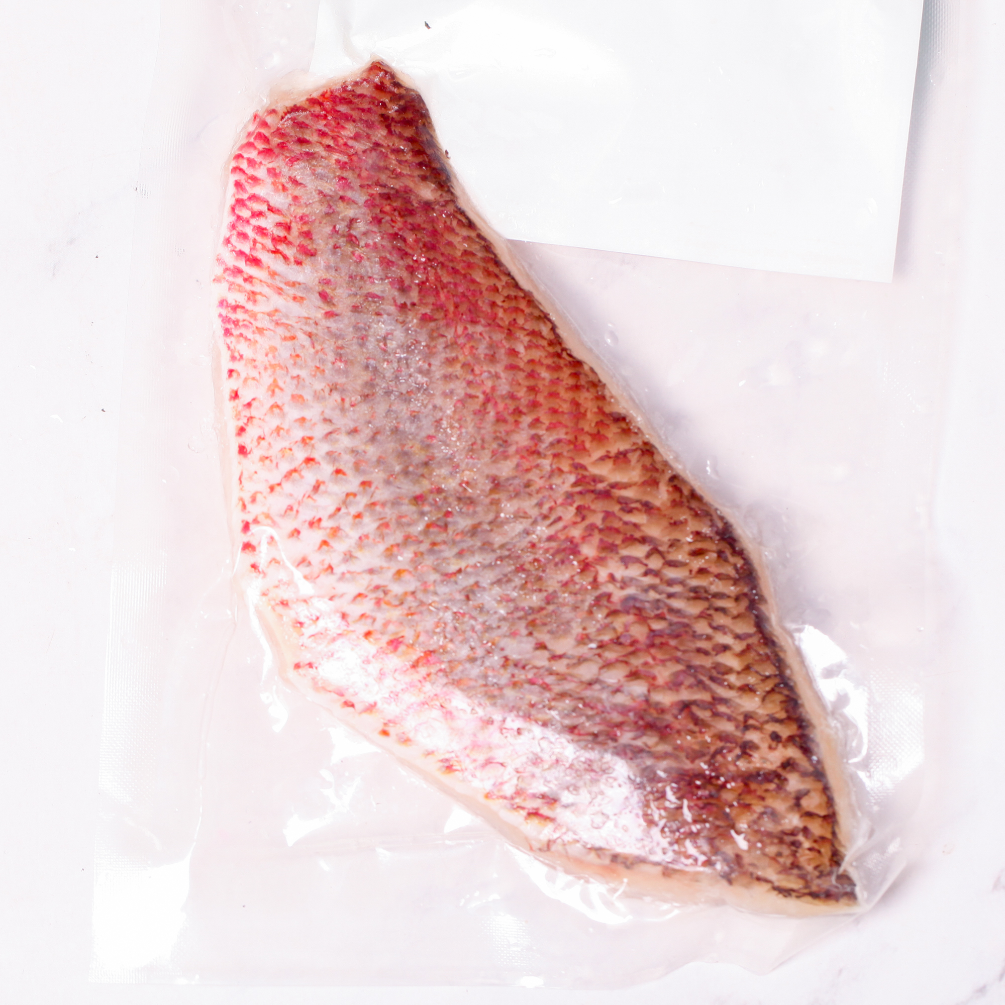 Wild Yellow-streaked Snapper Fillet