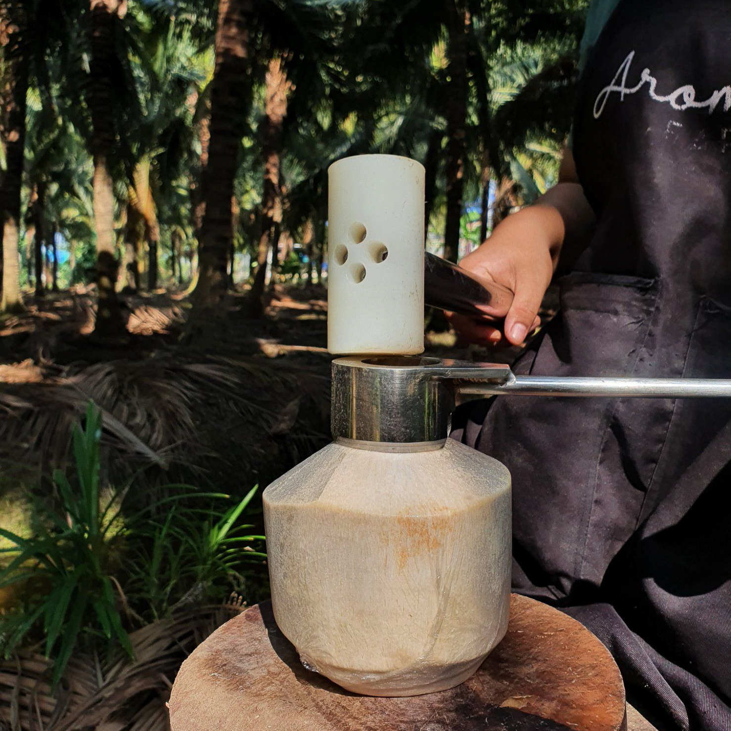 Fresh "Nam Hom" Coconut Water by SamSuan 230ml