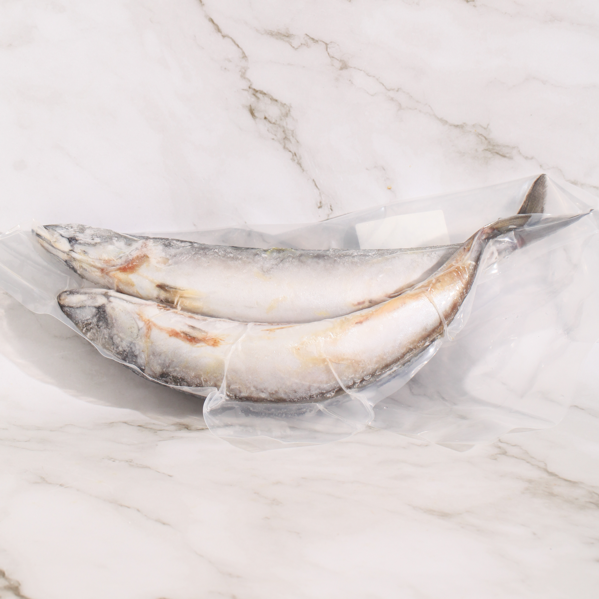 Wild Mackerel