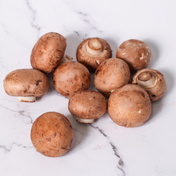 Organic Swiss Brown Mushroom