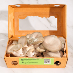 King Blue Mushroom - Earthling