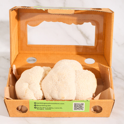 Lion's Mane Mushroom - Earthling