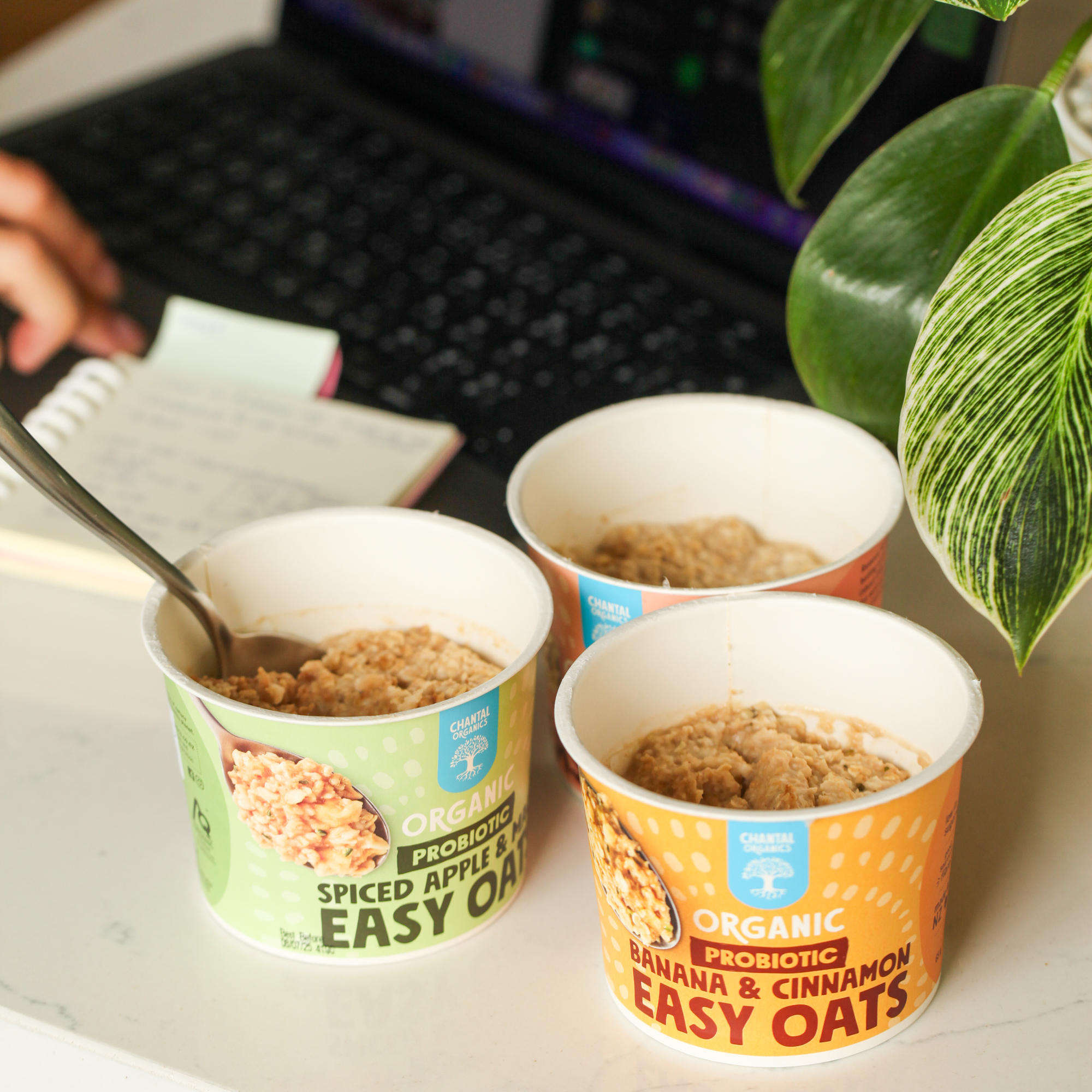 Probiotic Easy Oats Banana & Cinnamon - Chantal Organics