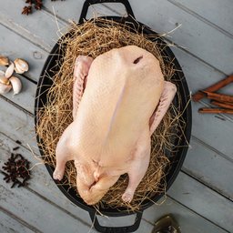 Pasture-raised Barbary Duck