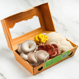 Organic Mixed Mushrooms - Earthling
