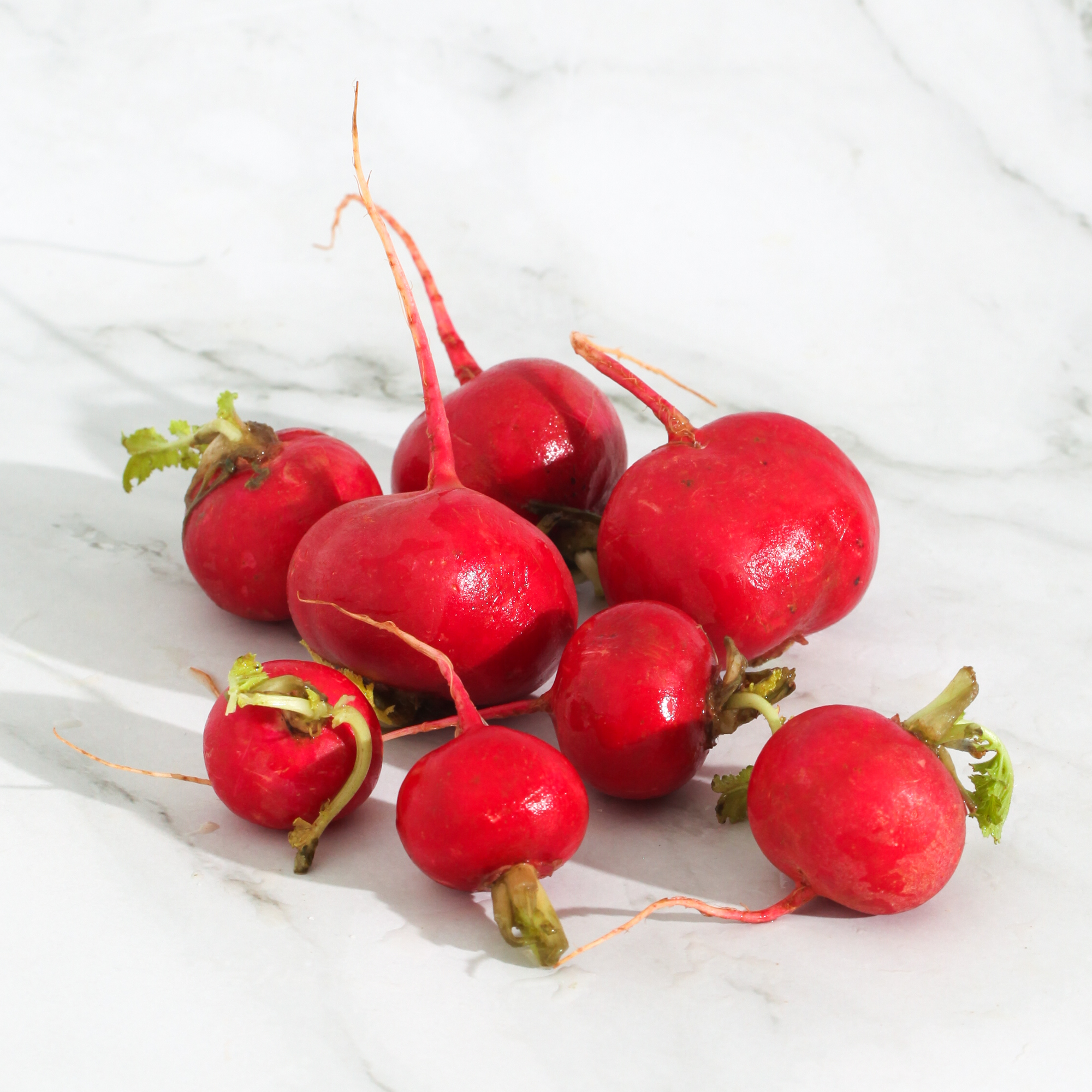 Organic Red Radish