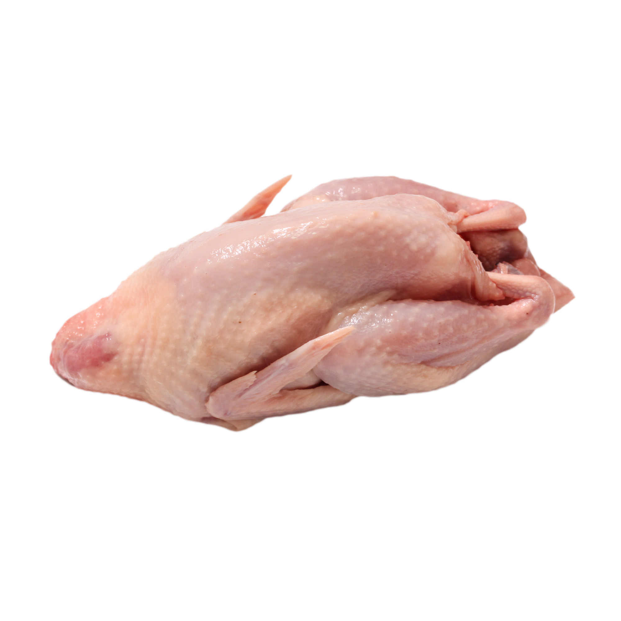 Whole Pasture-raised Quail