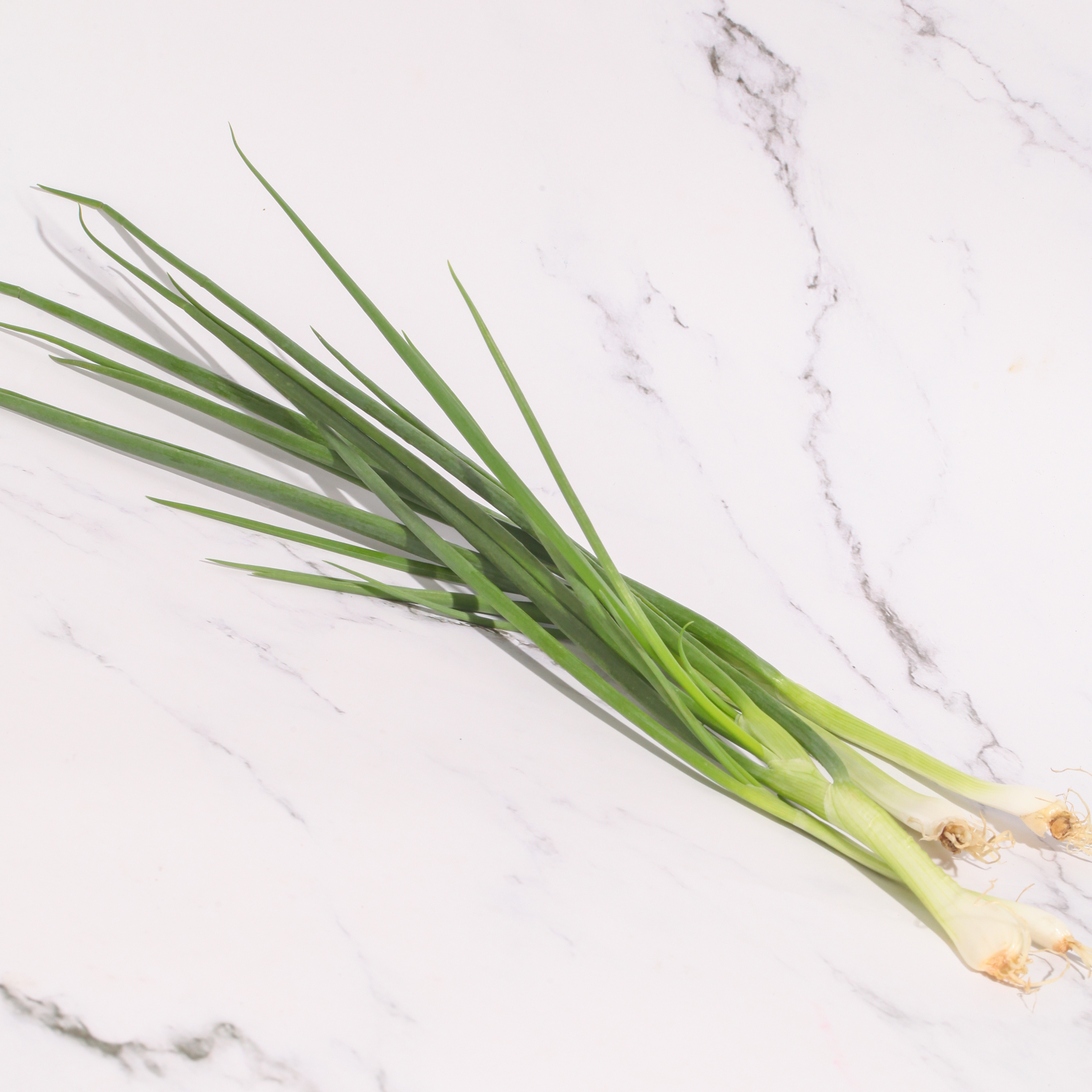 Organic Spring Onion
